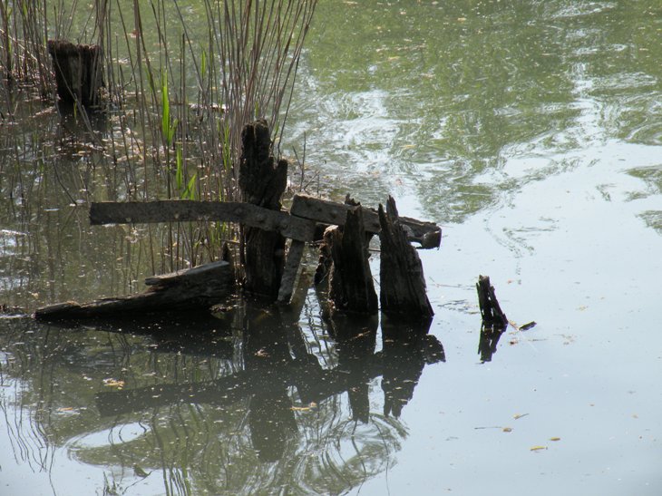 quando la natura prende il sopravvento